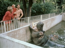 Artis - Zoo, 1970
