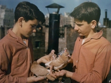 Untitled, New York (two boys with pigeons), 1963